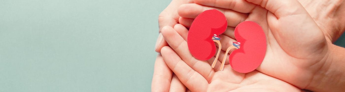 Dosagem de creatinina: o que é e qual sua relação com as doenças renais?