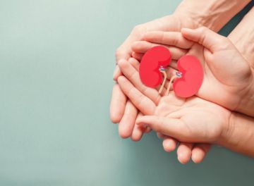 Dosagem de creatinina: o que é e qual sua relação com as doenças renais?