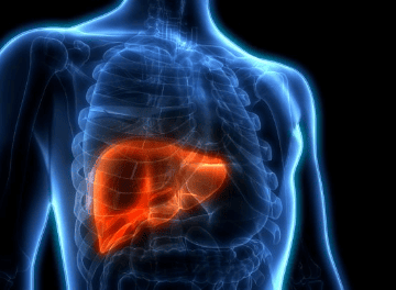 Hepatite C exige cuidados com o fígado API ID : article