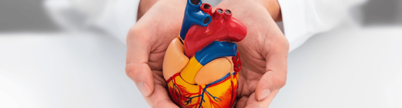 Miocardite: saiba o que é, quais são os sintomas e como é feito o diagnóstico