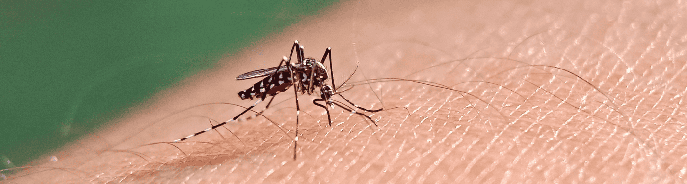 Surto, epidemia, pandemia e endemia: entenda qual é a diferença entre eles