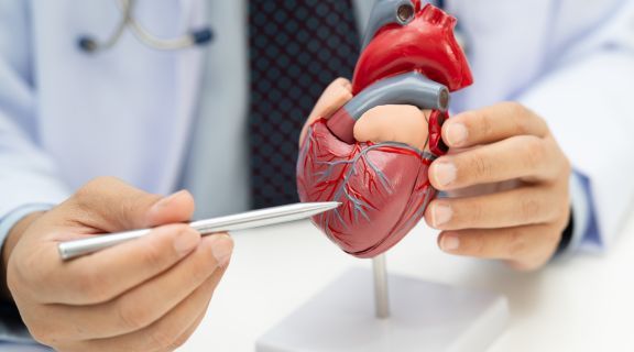 Tratamentos para batimento cardíaco lento