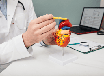 O que é aneurisma de aorta e por que ele é tão perigoso?