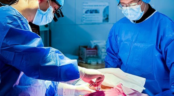 como é o transplante de medula óssea