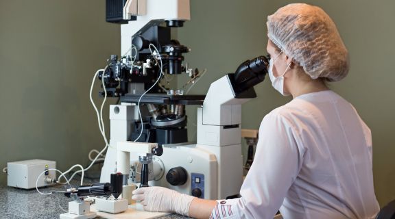 como funciona inseminação artificial
