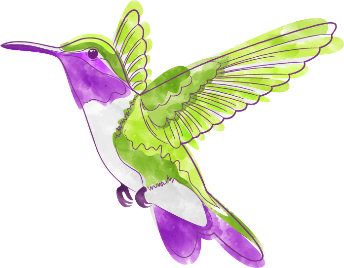 Beija-flor ilustração