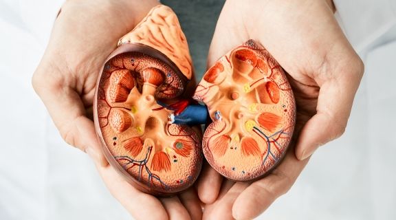 doença renal crônica estágios