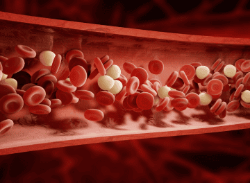 doencas hematologicas