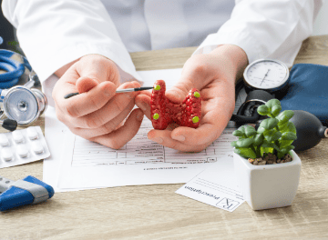 Hipoparatireoidismo: quando é necessário fazer um transplante de paratireoide?