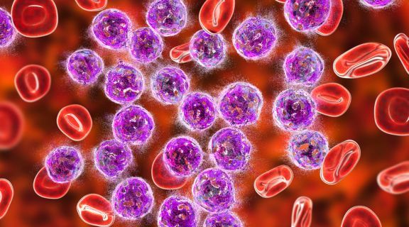 imunidade baixa pode causar leucemia