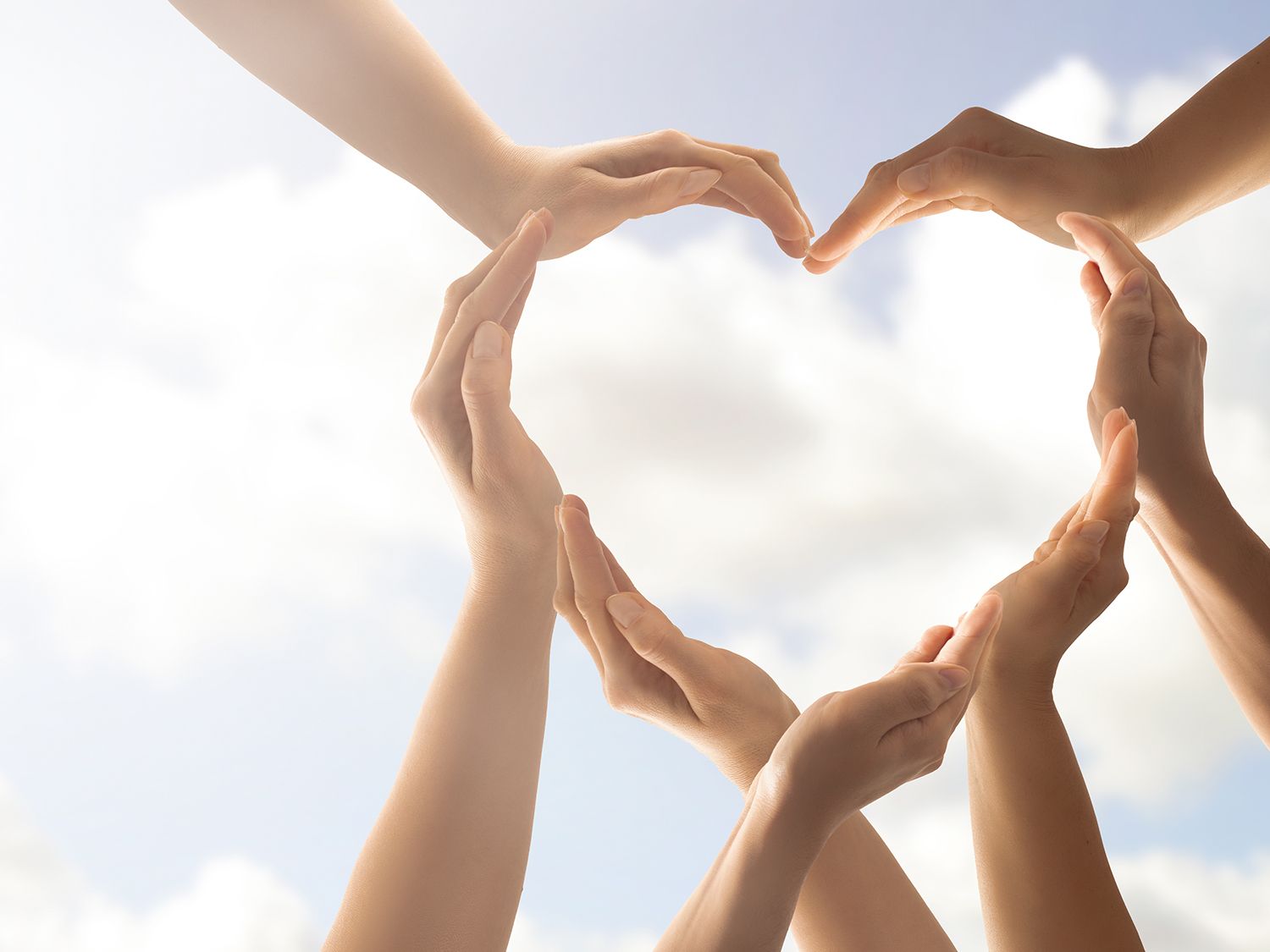 Doação de medula óssea: como é feita e quem pode doar?