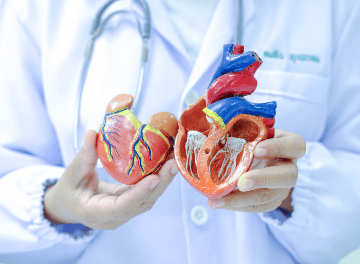 Prolapso da válvula mitral: diagnóstico e tratamento
