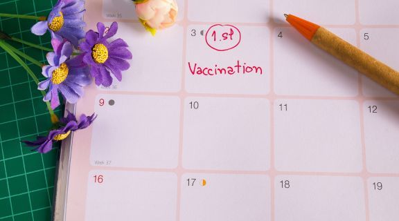 quais são as vacinas de 2 meses
