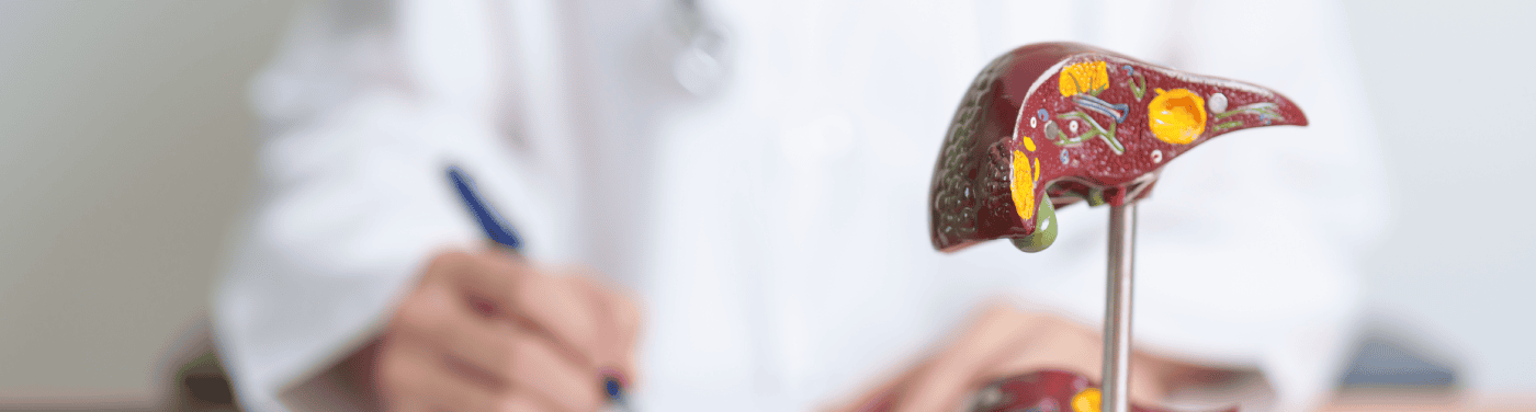 Transplante de fígado: entenda como é feito, quais os critérios usados e quando é necessário