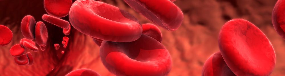 5 tipos de doenças do sangue1.jpg