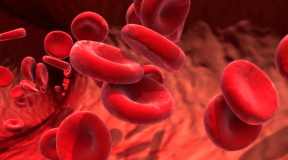 5 tipos de doenças do sangue: quais são elas, como são feitos os diagnósticos