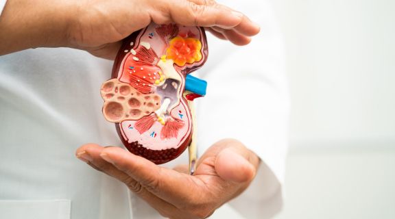 Quais são os primeiros sintomas de problema nos rins? Saiba agora 7 sinais
