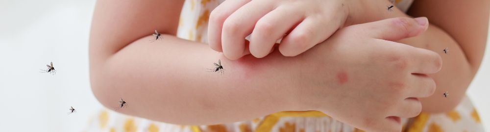 Mosquito sobrevoando braços de criança
