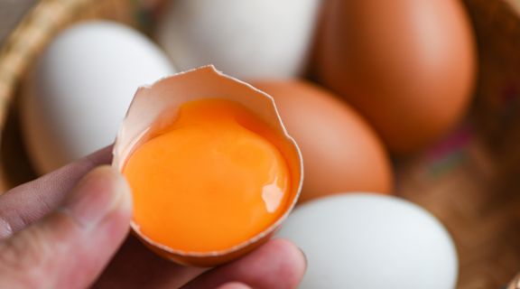 A gema do ovo aumenta o colesterol? Entenda como consumir essa proteína