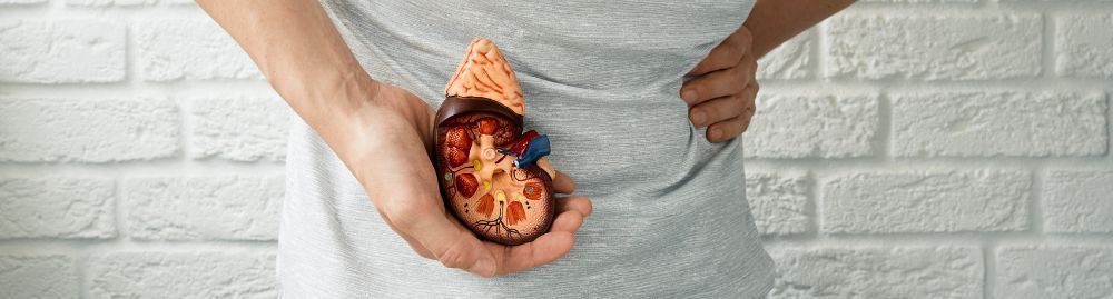 alimentos que causam pedra nos rins1.jpg