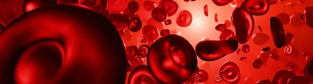 anemia aplástica é câncer1.webp