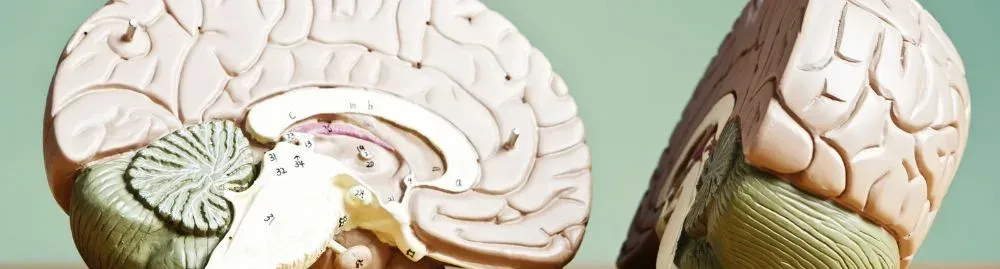 câncer cerebral tem cura1.webp