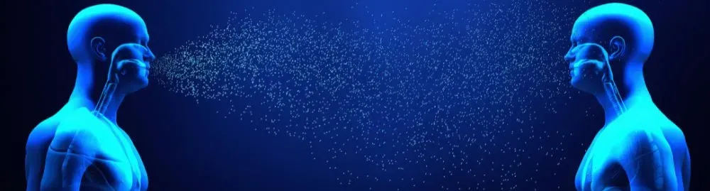 como pega catapora1.webp