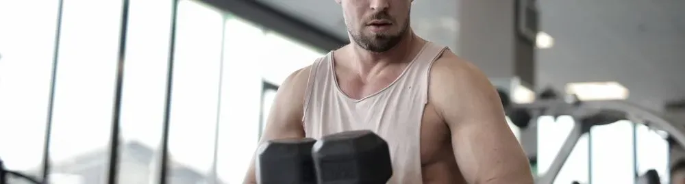 creatina aumenta a testosterona1.webp