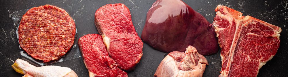 dieta carnívora emagrece1.jpg