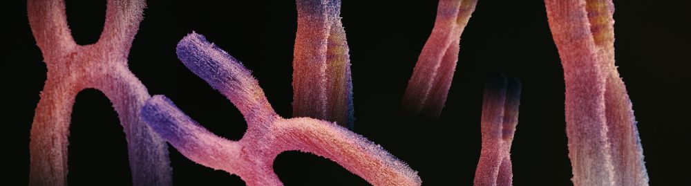 distúrbios metabólicos hereditários​1.jpg