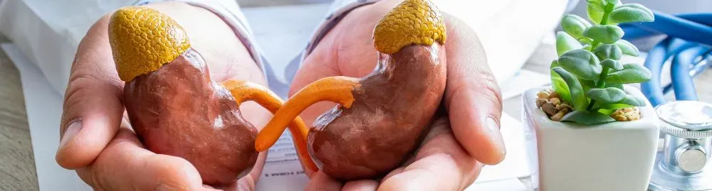 doença renal aguda​1.webp