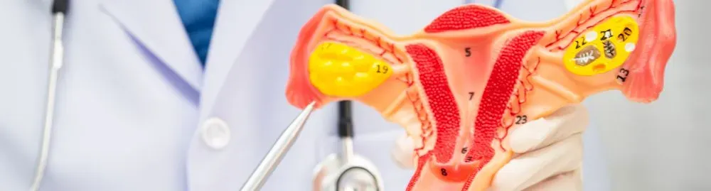 doenças ginecológicas causadas por bactérias_1.webp