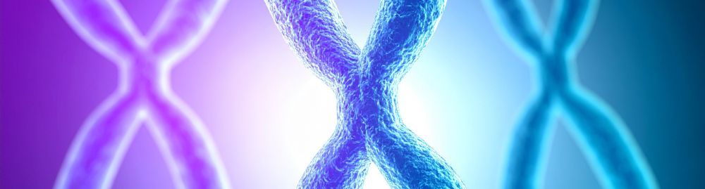 doenças hereditarias1.jpg