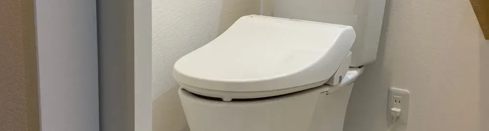 fezes escuras e moles1.webp