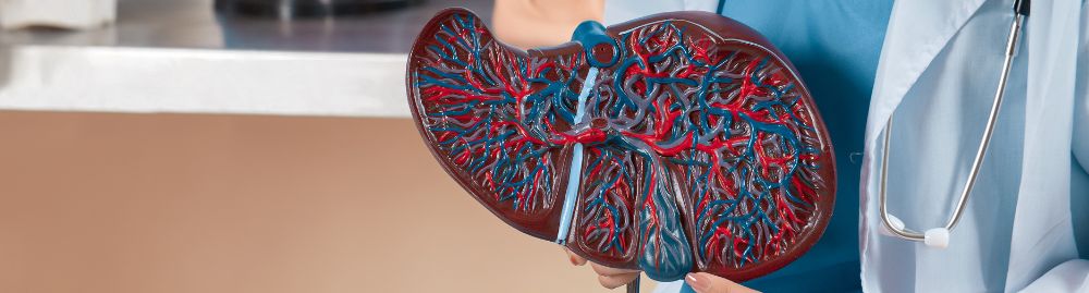hepatite c como transmite1.jpg