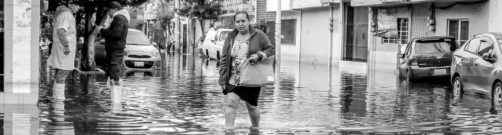 leptospirose tem cura1.webp