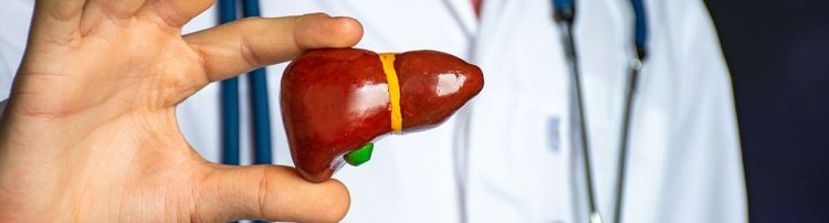Médico que cuida do baço e fígado: qual procurar?