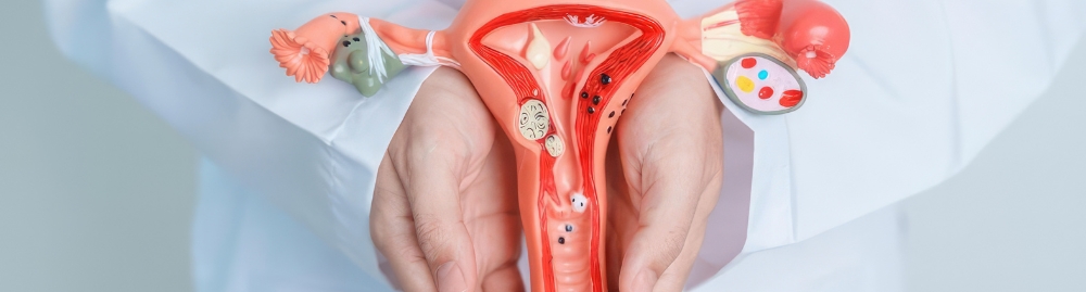 neoplasia intraepitelial cervical grau 1 tratamento1.jpg