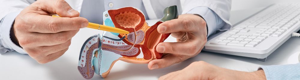 nódulo na próstata é perigoso_1.jpg