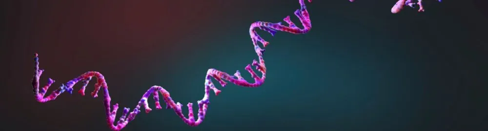 o que causa anemia falciforme​1.webp