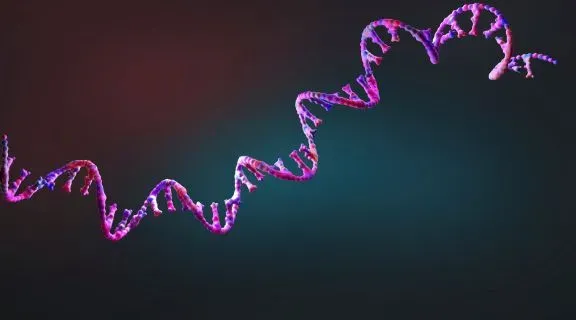 O que causa a anemia falciforme? Entenda como é a sua origem genética