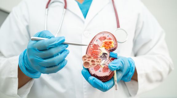 O que causa infecção no rim? Entenda os sintomas, as causas e os tratamentos