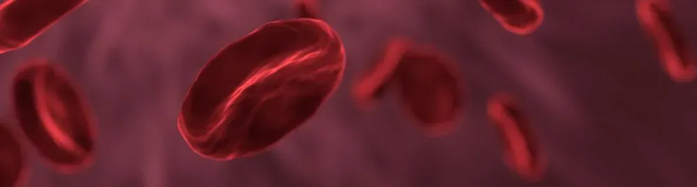 o que é anemia hemolitica1.webp