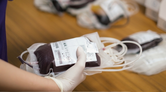 Entenda se para doar medula óssea precisa ter o mesmo tipo sanguíneo 