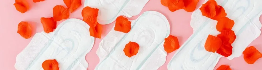 progesterona fase lútea1.webp