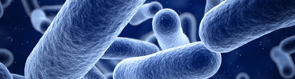 pseudomonas aeruginosa causa o que1.jpg