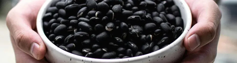 quais alimentos deixam as fezes escuras1.webp