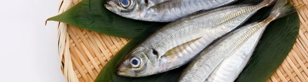 qual alimento é bom para anemia1.webp