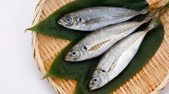 Qual alimento é bom para anemia? Veja como combater essa condição