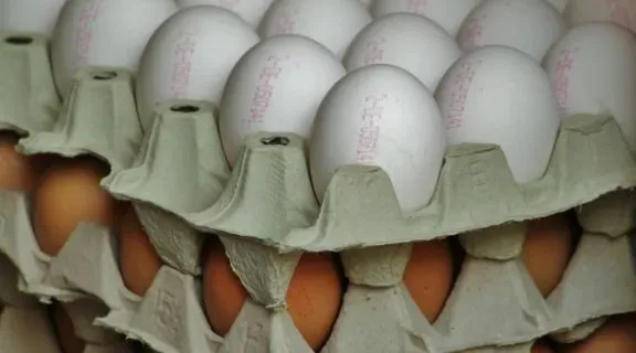 Qual alimento melhor para ganhar massa muscular e potencializar seus treinos?